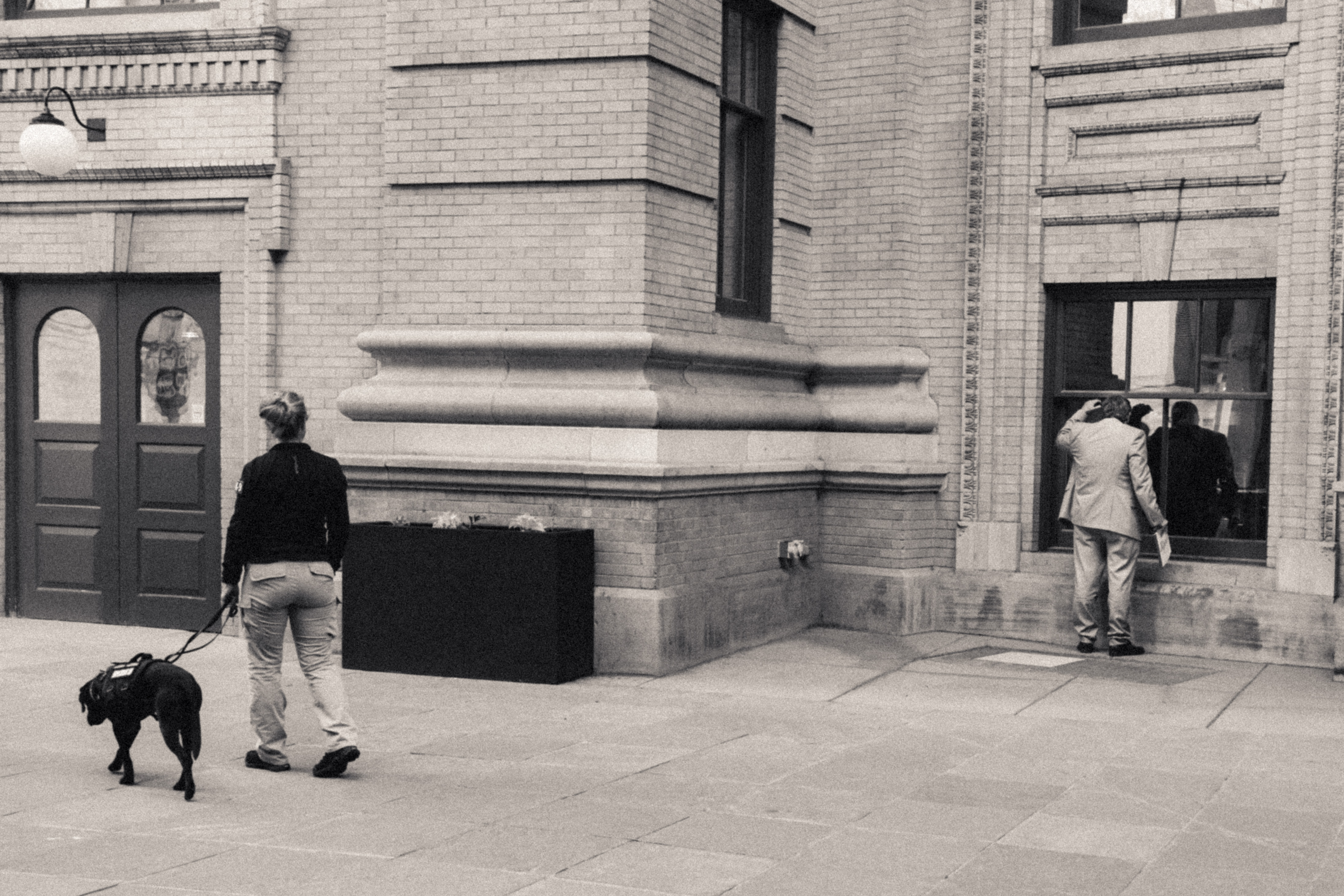 Photo of a man in a suit peering in a window, while a security guard with her guard dog looks on from 25 feet or so away.